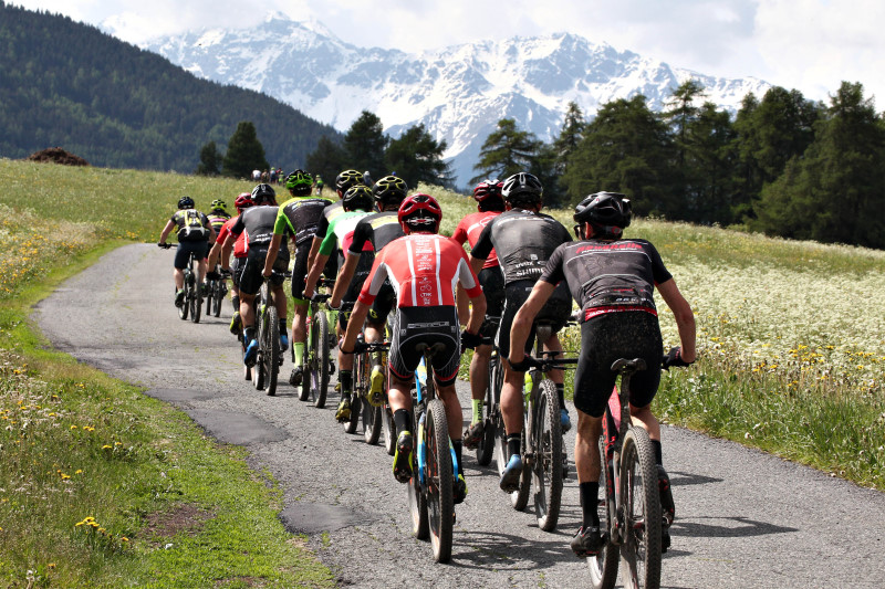 Oertler Marathon Bike - gruppo