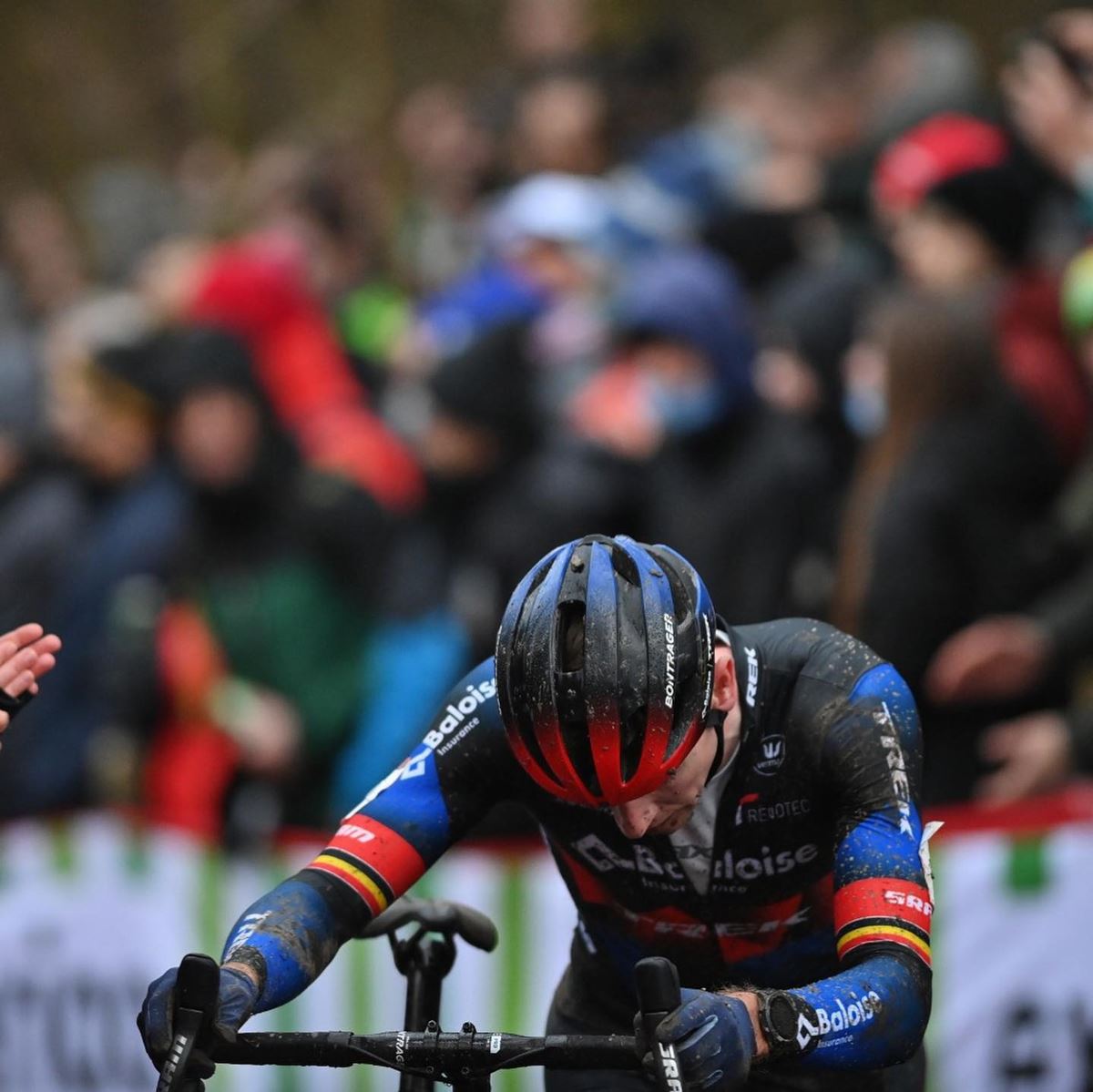 Toon Aerts tradito dalle radici