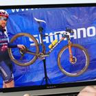 Mountain bike dei team