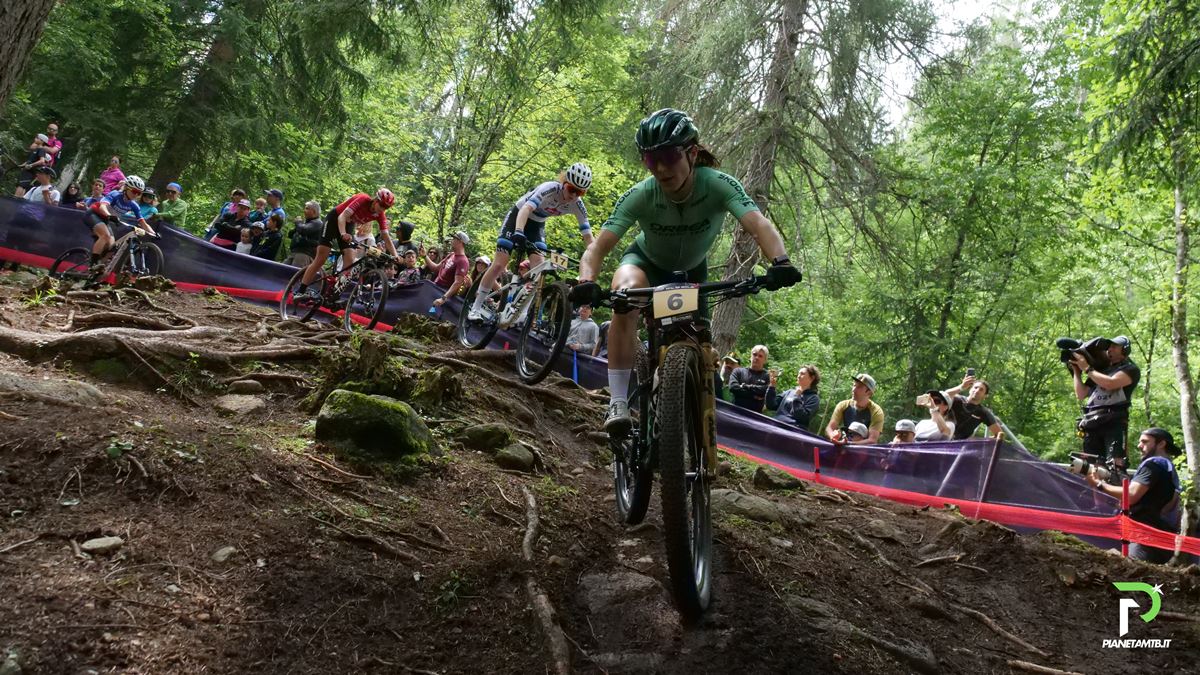 Teocchi Val di Sole