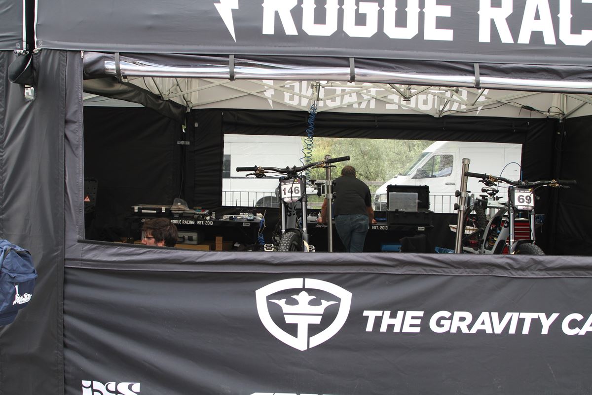 rogue team 