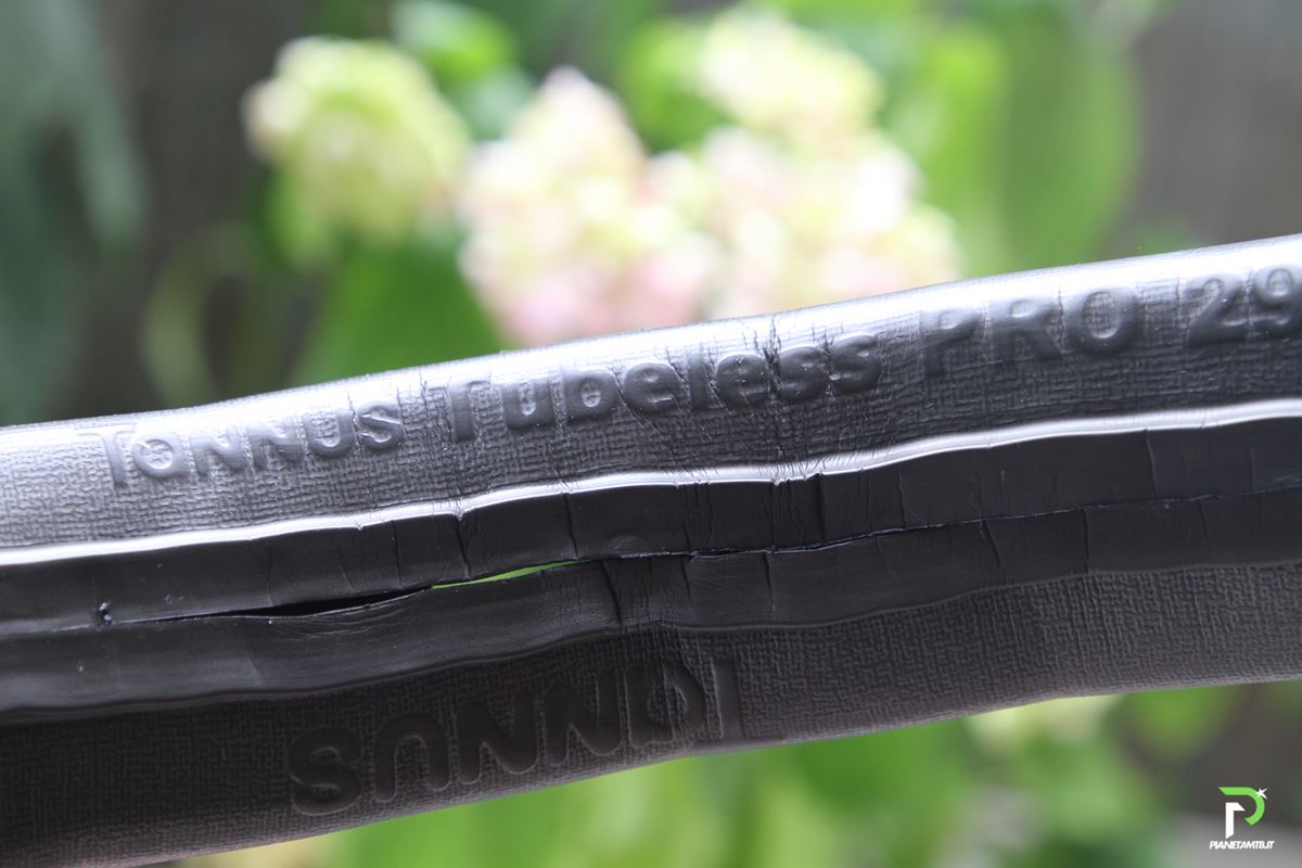 nuovo tannus tubeless fusion