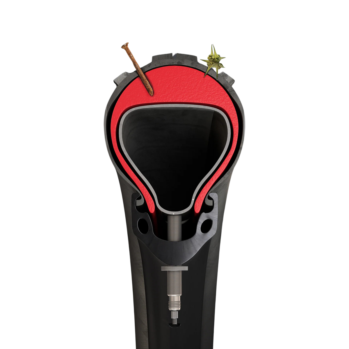 Tannus Tube