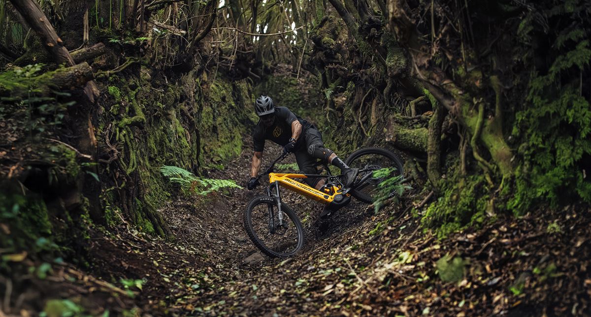 MONDRAKER LEVEL