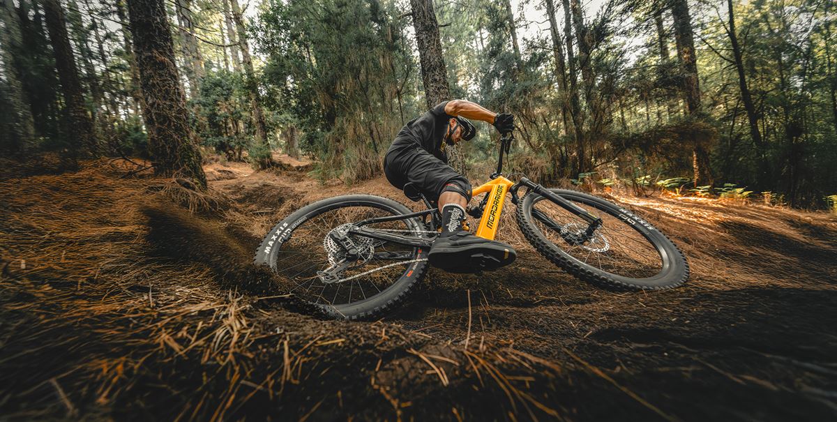 MONDRAKER LEVEL
