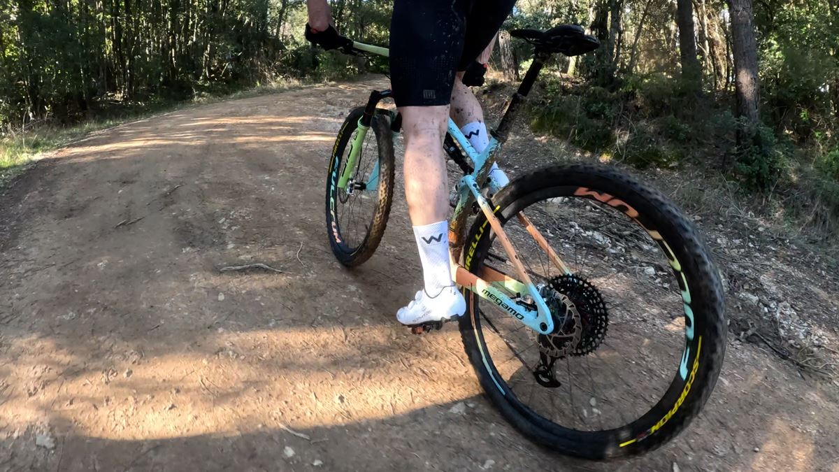megamo track test bca 2025