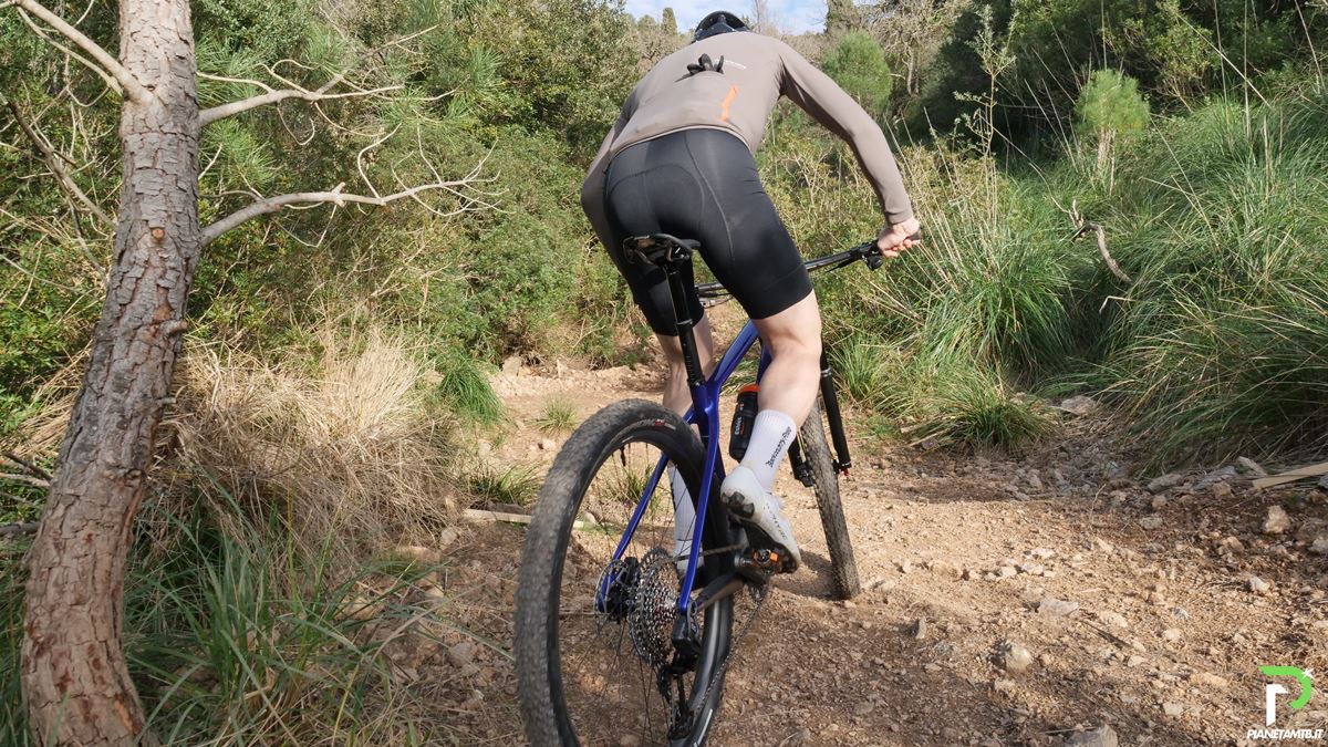 orbea alma 2025