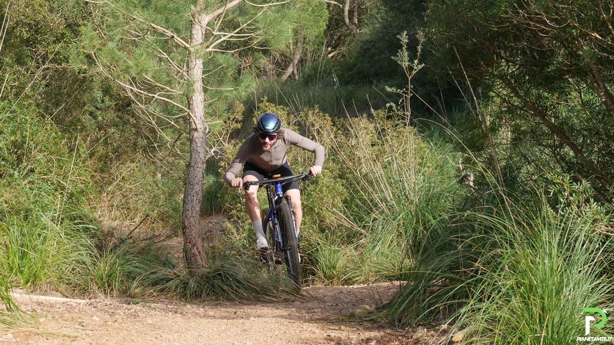 orbea alma 2025