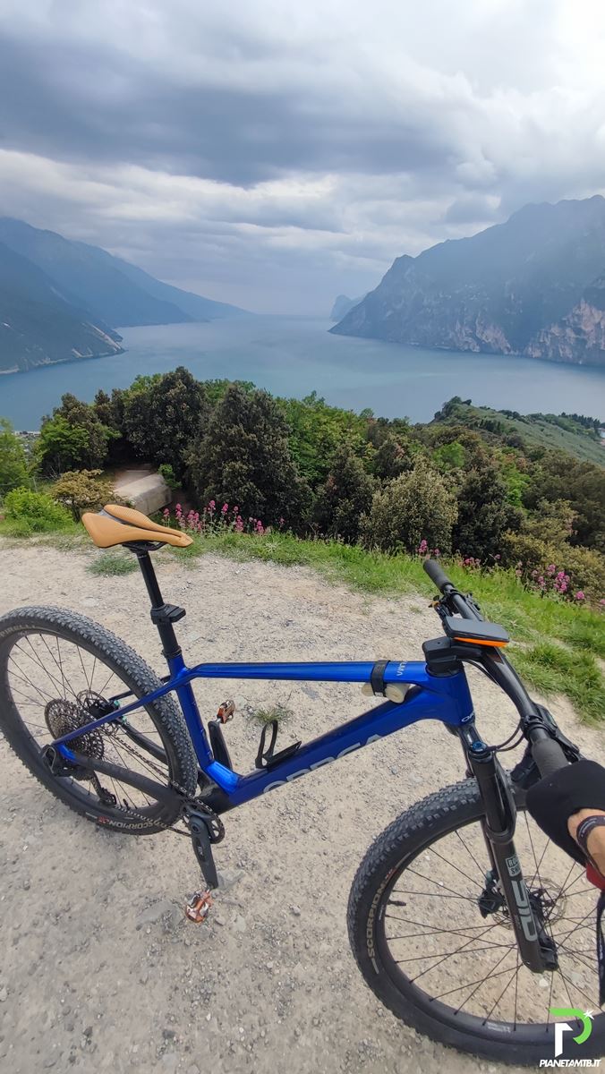 ORBEA ALMA 2025