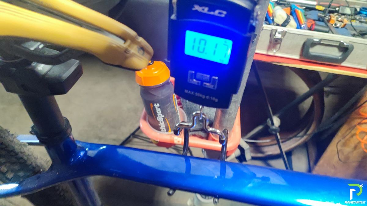 ORBEA ALMA 2025
