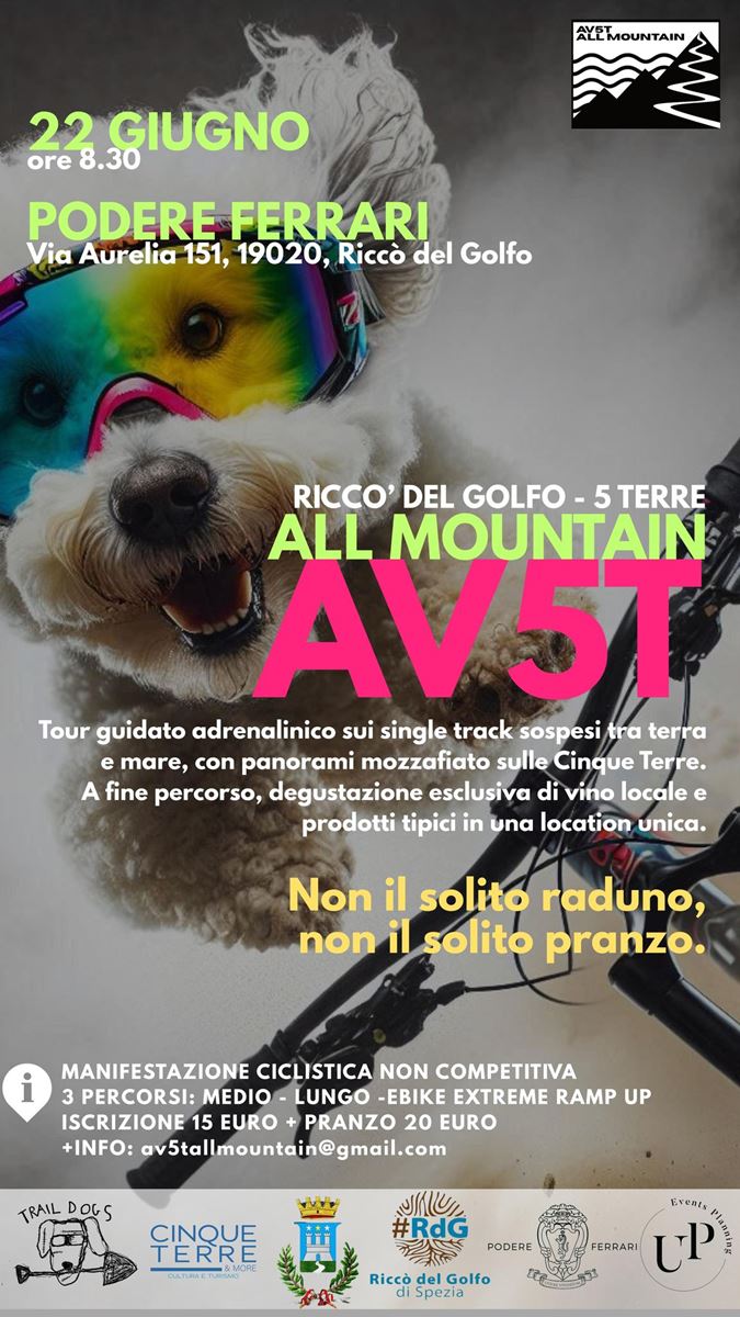 ALL MOUNTAIN AV5T