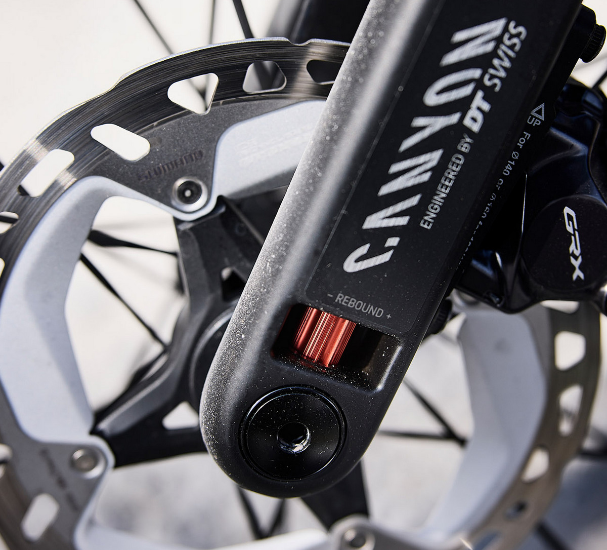 Regolazione cartuccia Rebound su forcella gravel DT Swiss F 132 One