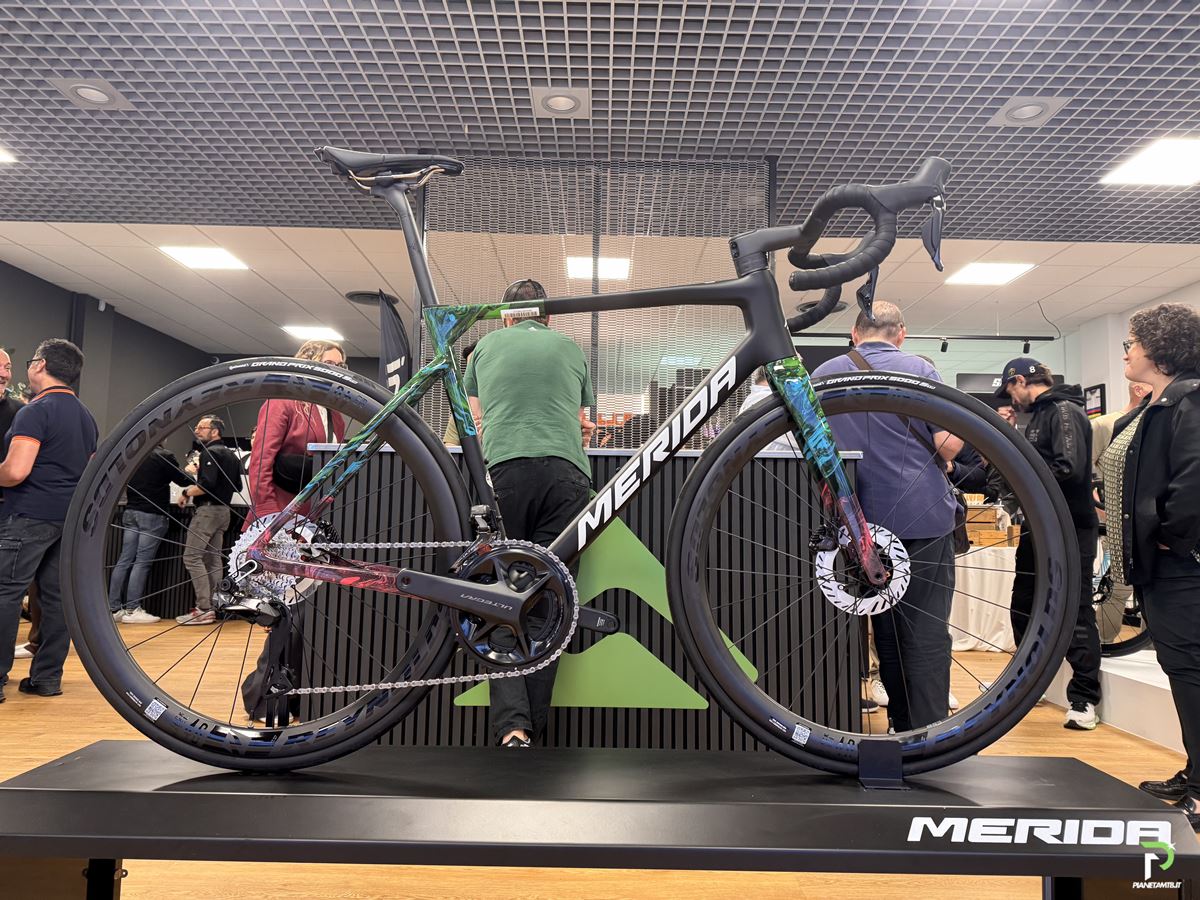 MERIDA STORE