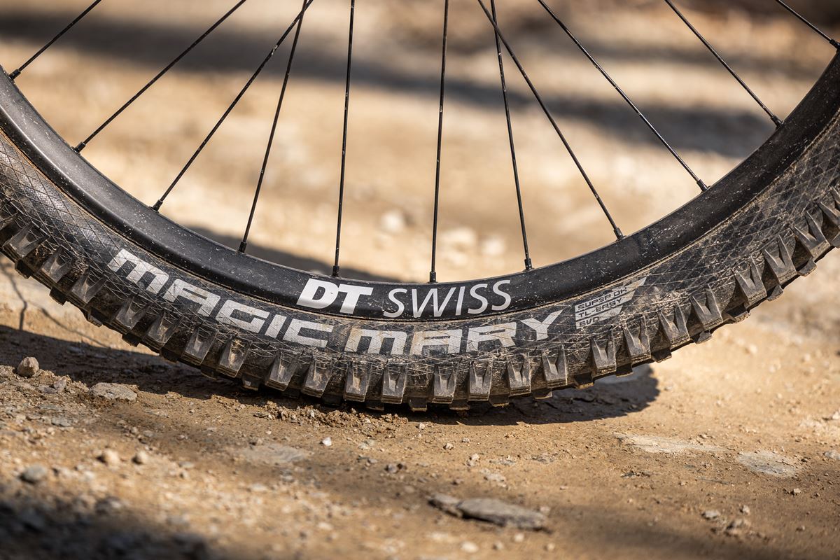 TEST NUOVA FOCUS SAM2