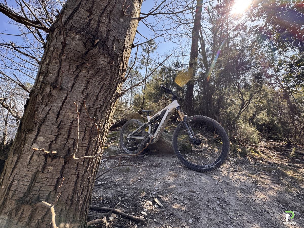TEST NUOVA FOCUS SAM2