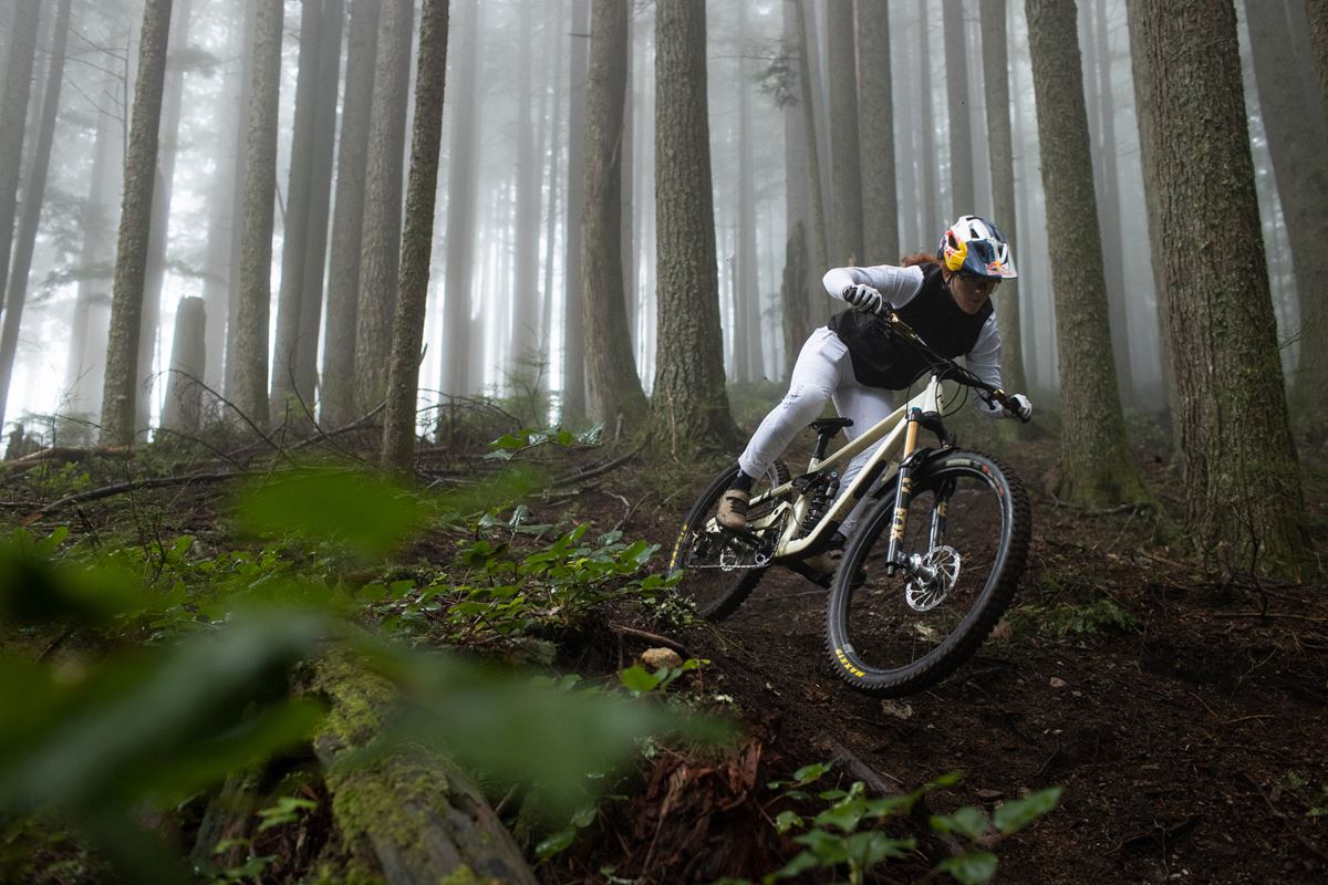 Forcella Fox 36 - modello 2026 in action