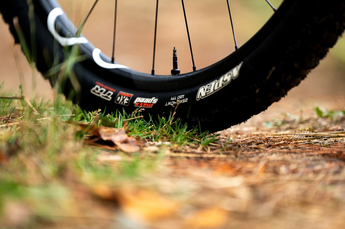 ORBEA ALMA ANDREASSEN