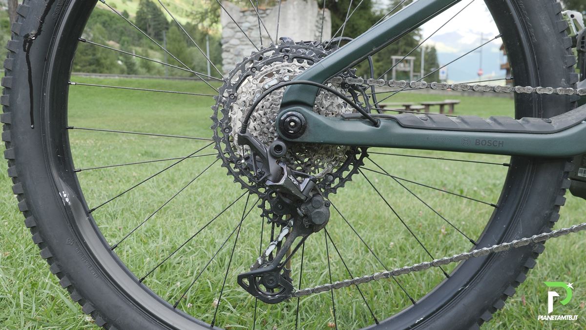 Orbea Wild Emtb test 2025