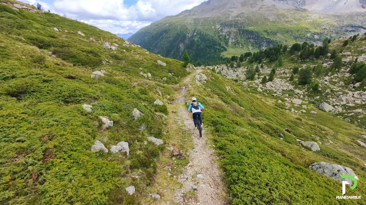 Orbea Wild Emtb test 2025