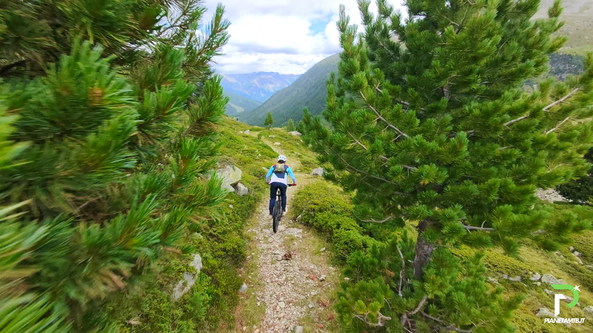 Orbea Wild Emtb test 2025