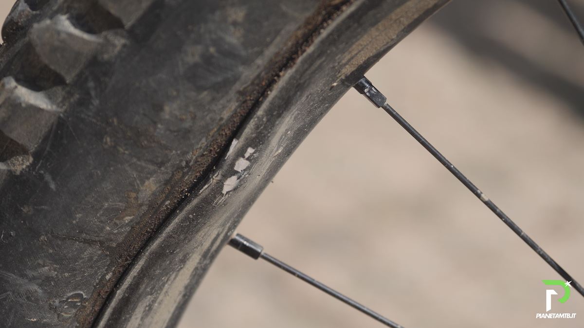 Orbea Wild Emtb test 2025