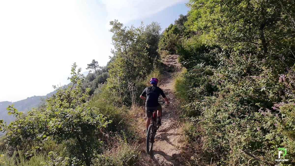 BERRIA STRATOS HPR