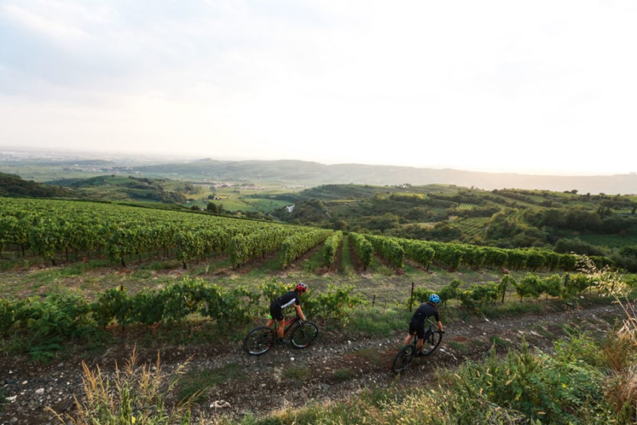 Granfondo Soave Bike