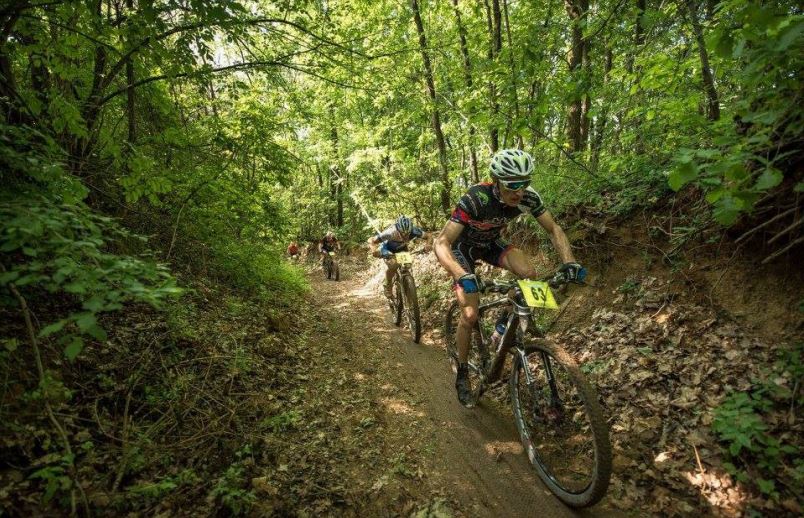 Francigena Mtb Cup