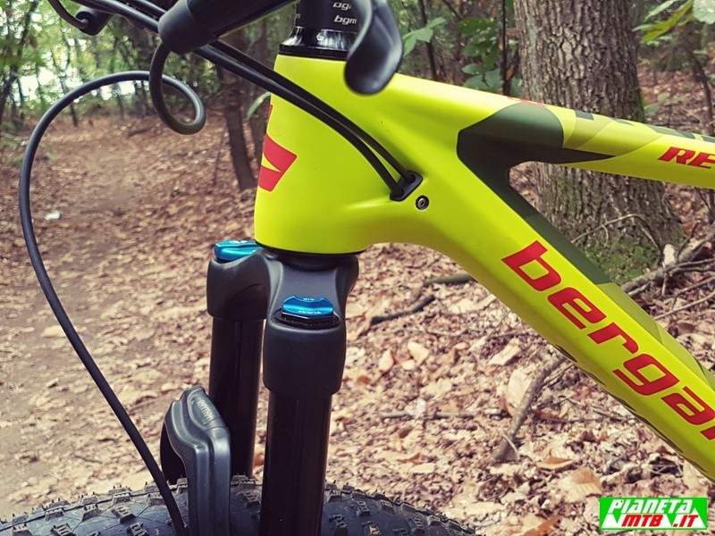 bergamont revox pro carbon